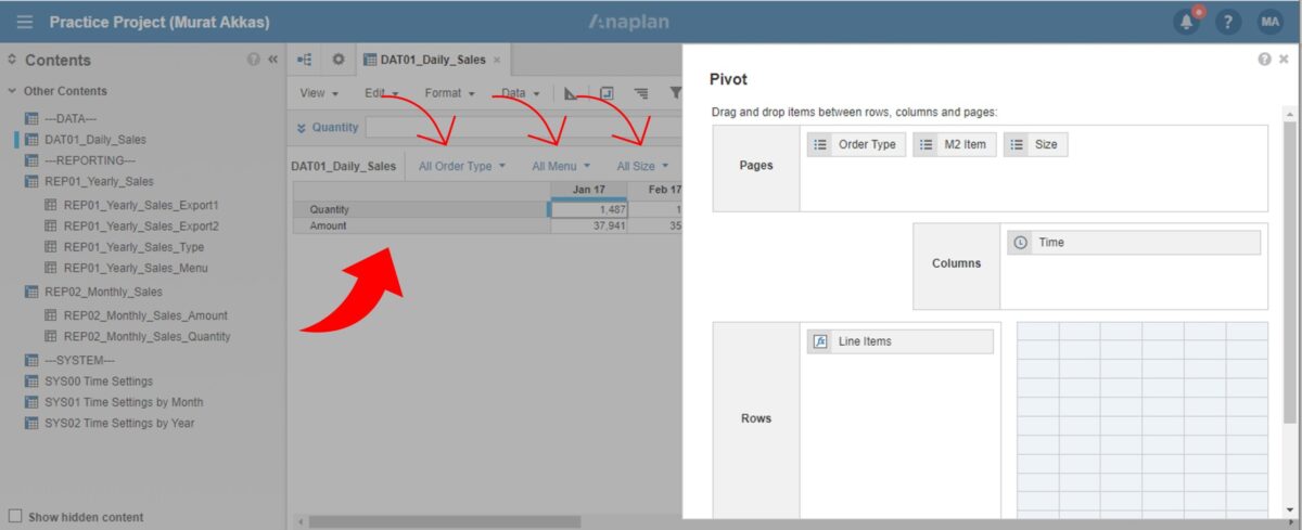 Anaplan Practice Project: Restaurant Sales - Voiant