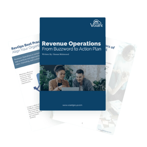 Voiant Report: Revenue Operations From Buzzword to Action Plan